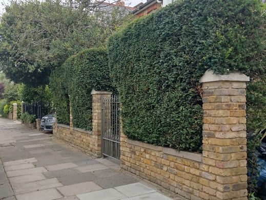 Figure 60 Low brick boundary wall with mature hedging behind
