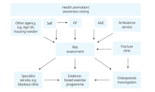 Falls Prevention - Collaborative Model