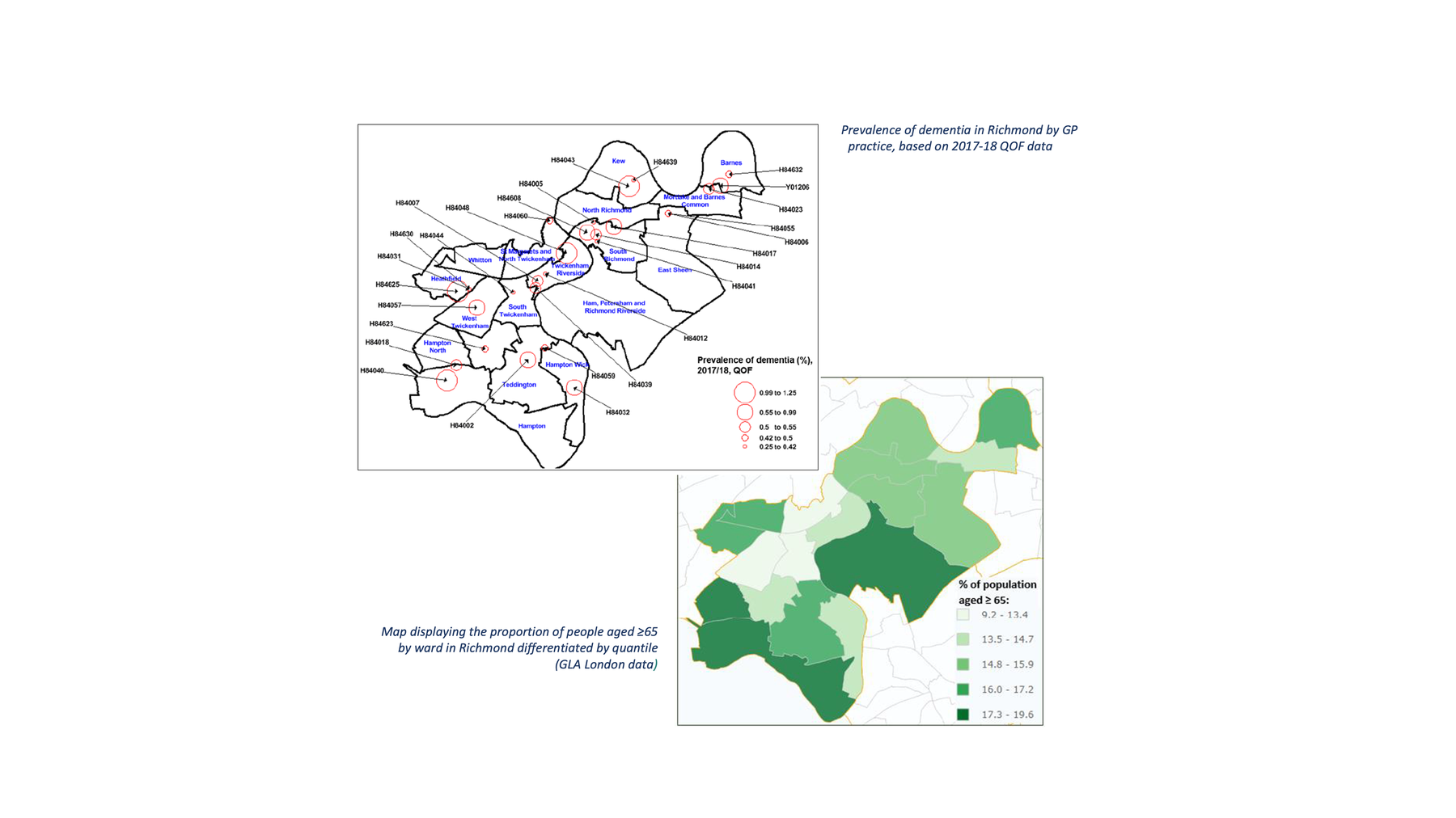 Dementia Prevalence Geographic Variation Data