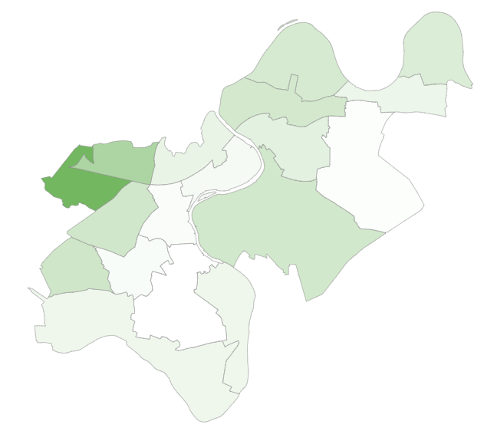 Ward map showing the distribution of ethnic minority groups across the Borough, 2021 Census