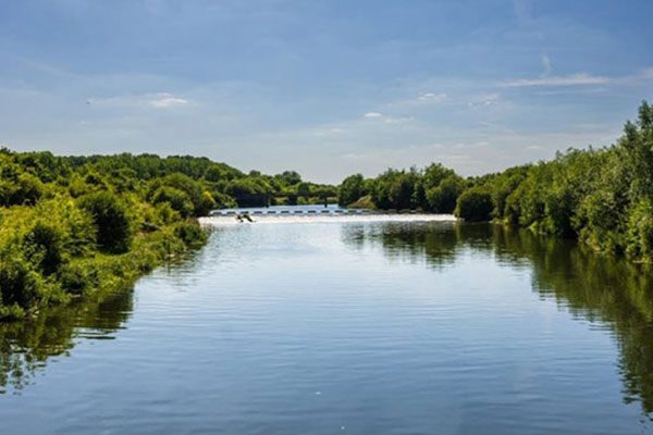 Wetland environment by the River Thames photo: Charlotte Williams