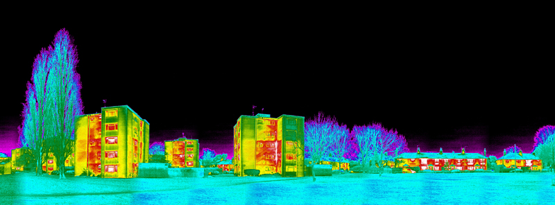 Thermal Image of Ham