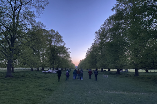 Guided bat walk at Home Park