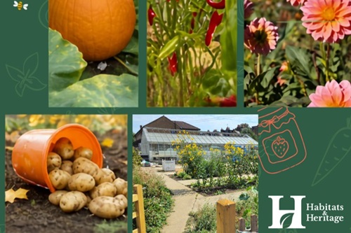 Grimwood Garden Harvest Festival