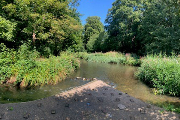 Restoration and maintenance plans for Lower Crane Valley