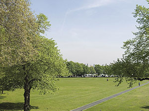 https://www.richmond.gov.uk/media/18671/richmond_green_park.jpg?utm_source=chatgpt.com