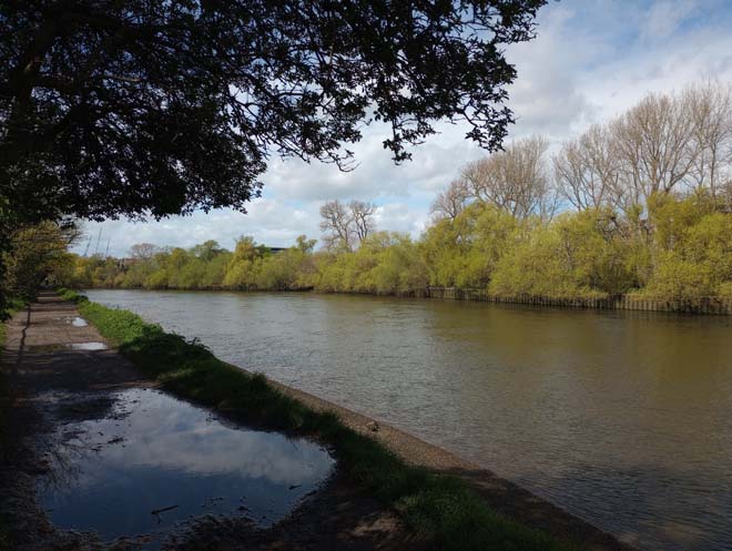 Figure 24: Brentford Ait from Kew riverside