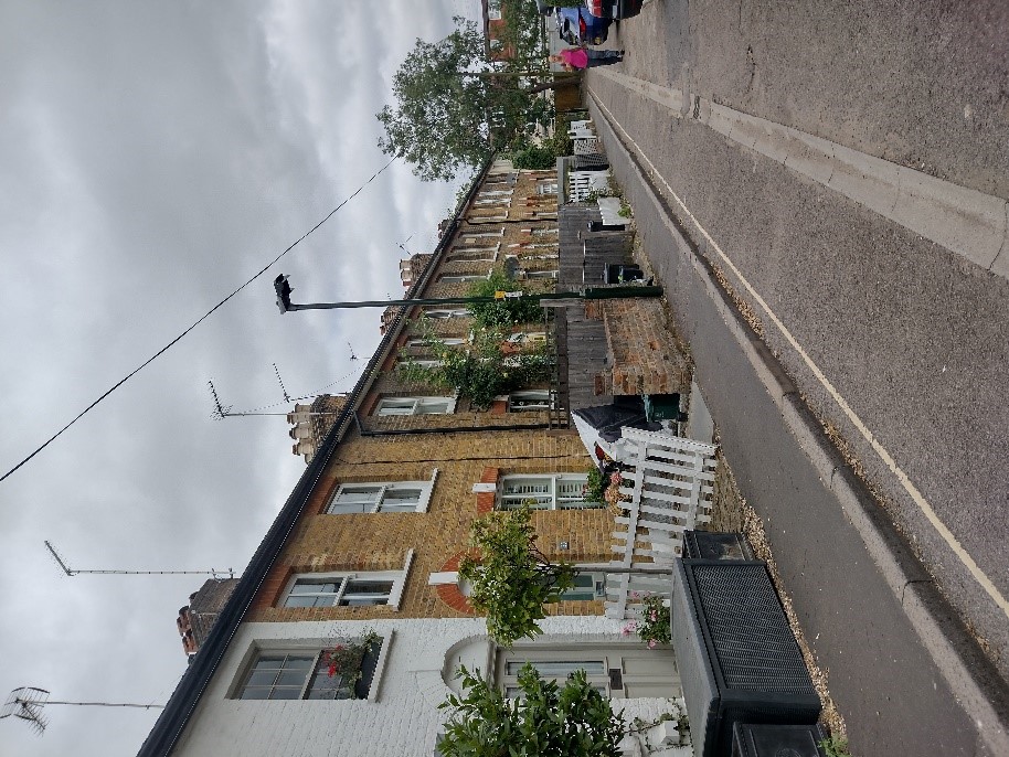 Figure 66 View of the western side of Watts Lane showing variety in boundary treatment