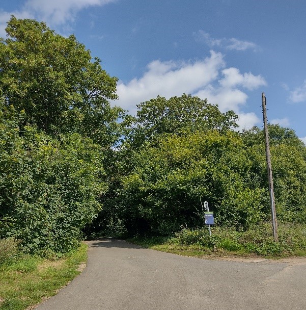 Figure 83 Path leading to Ham, through the Ham Lands Nature Reserve