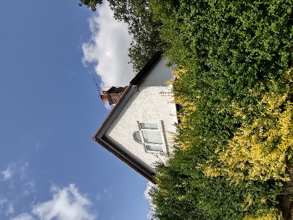 Figure 85 Obscured view of the old Toll House