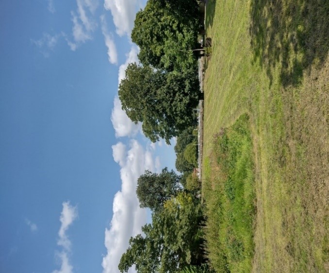 Figure 97 Expansive lawn at Manor Road Recreational Ground