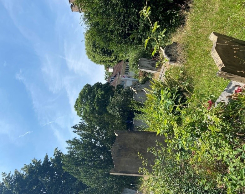Figure 104 Graveyard of St Mary's parish church
