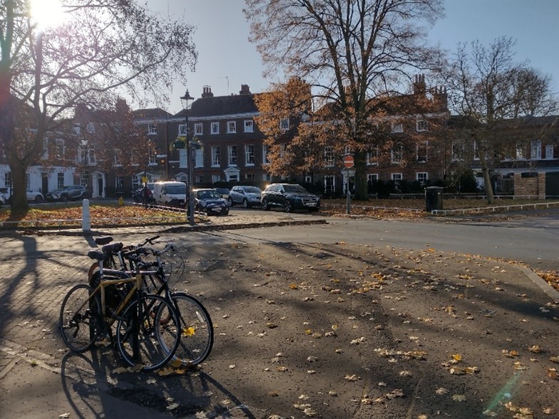 Figure 48 Cycle stands, Old Palace Terrace