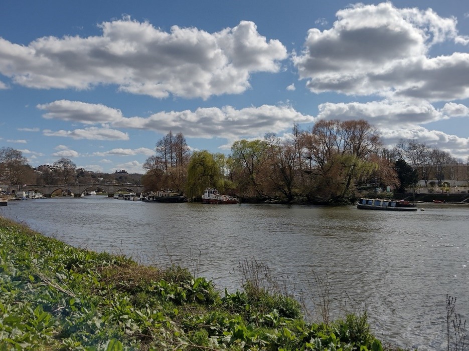 Figure 17 View of the River Thames and Corporation Island