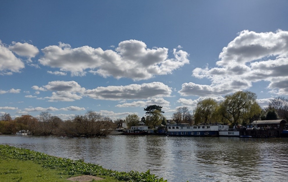 Figure 16 View of the River Thames and houseboats