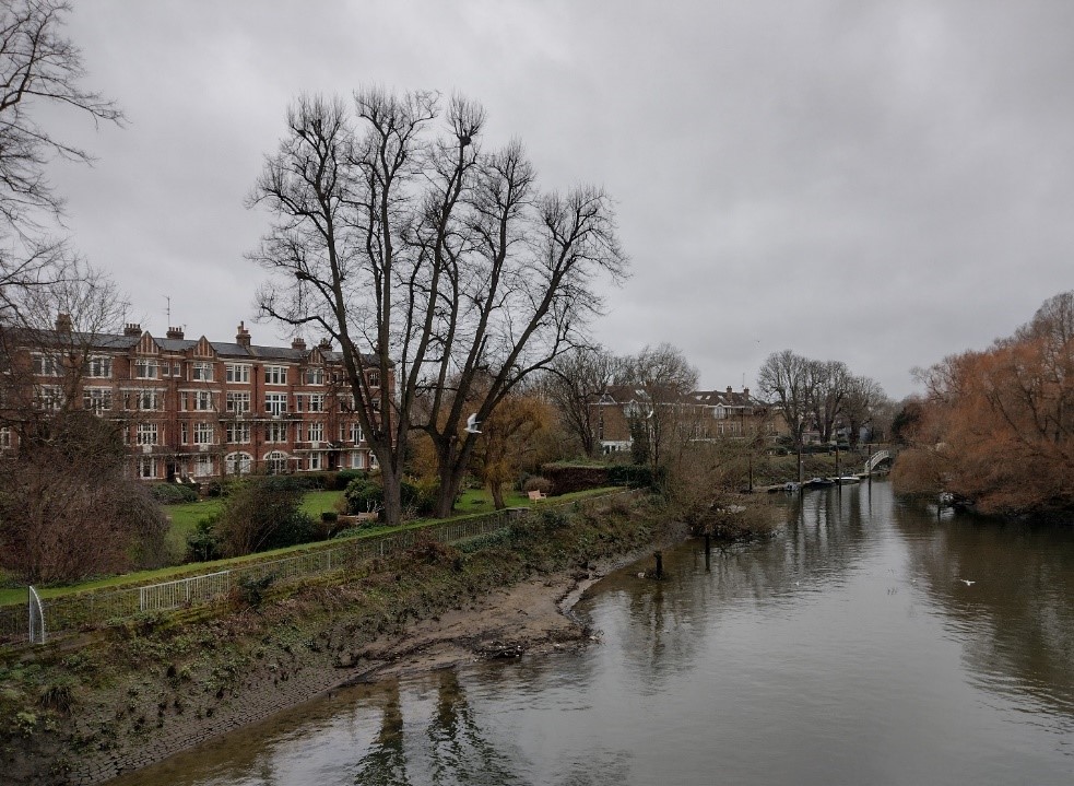 Figure 15 View of the Twickenham bank as viewed from Richmond Bridge