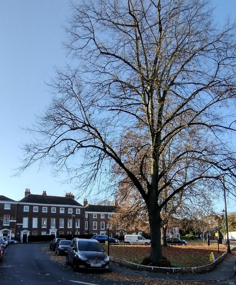 Figure 46 View of Old Palace Place