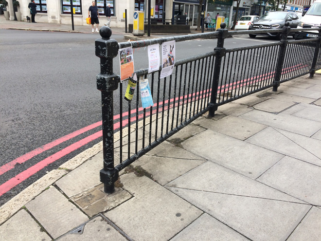 Figure 71: Railings outside no.256 Upper Richmond Road West