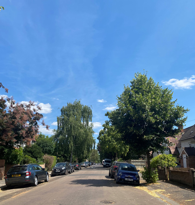 Figure 52 Tree lined Princes Road