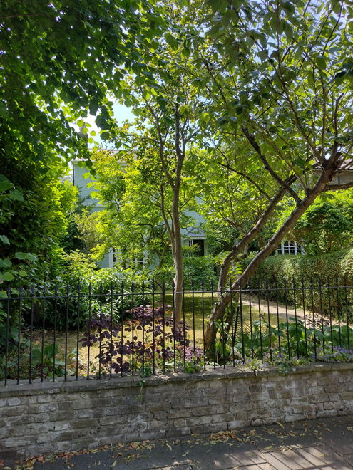 Figure 39: Garden to 9 Trafalgar Road