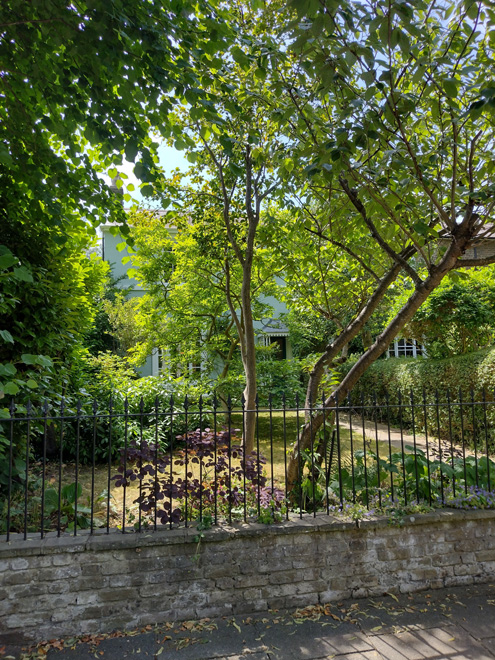 Figure 32: Wall and railings to 9 Trafalgar Road