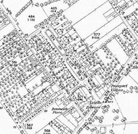 Figure 2: Ordnance Survey Map 1866