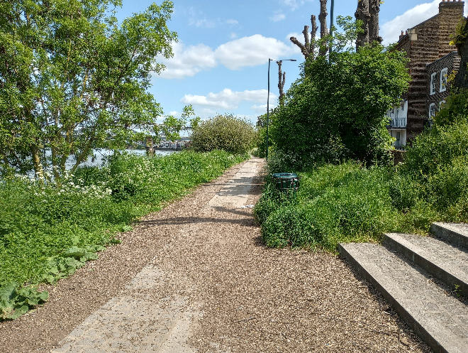 Figure 46: Riverside path between Barnes Bridge and The White Hart