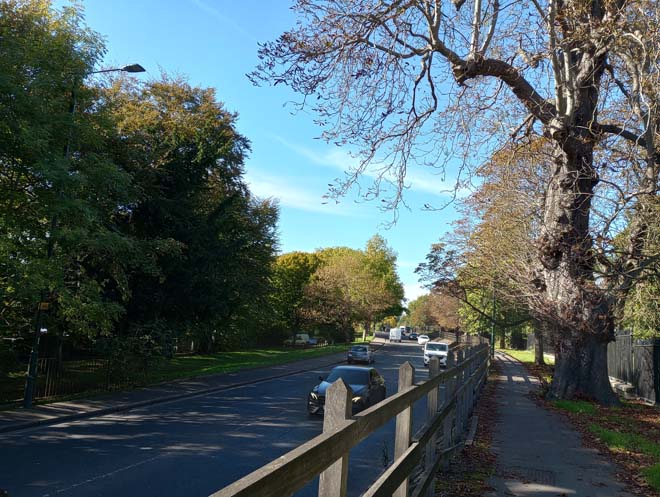 Figure 35: View looking west along Hampton Court Road towards Hampton Village, emphasising the verdant character of the area