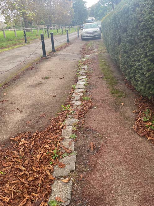 Fig. 67 Detail of pavement in Campbell rd.