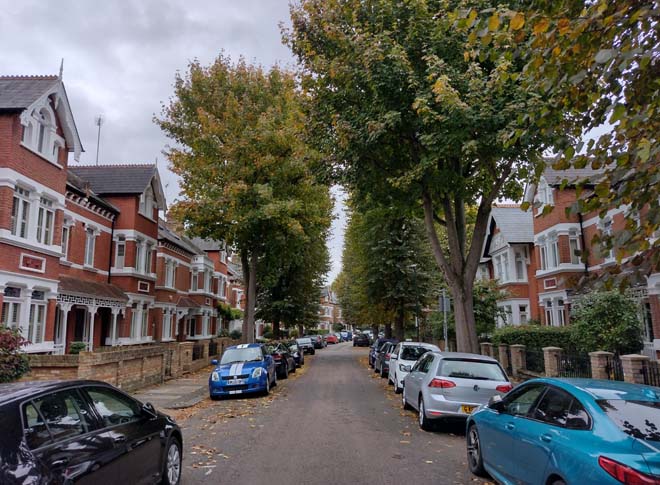 Fig. 61: View north along Lebanon Park highlighting its suburban appearance