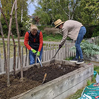 Vine Road Community Growing Project grows and grows and grows!