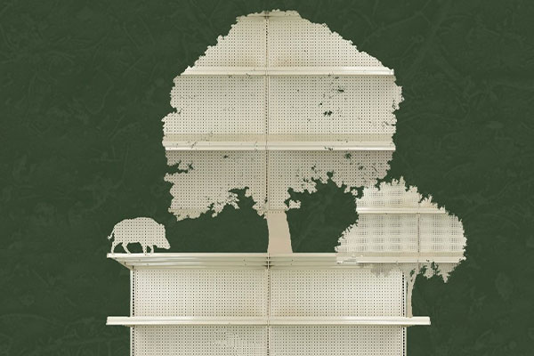 Orleans House Gallery announce its latest exhibition, SupermarketForest