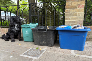 Summer bank holiday waste and recycling collections