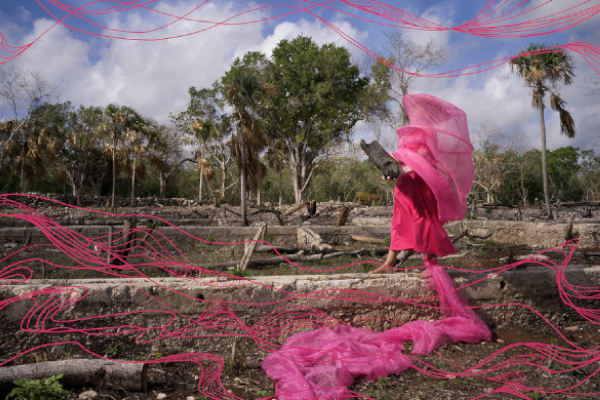 Step into the forest: Cultural reforesting exhibition opens at Orleans House Gallery