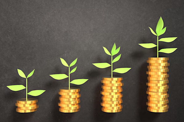 Find out what’s available to support SMEs