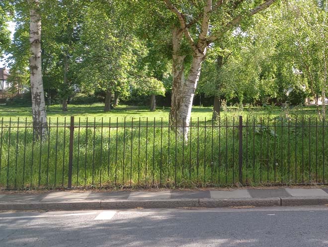 Figure 149: Black railings to the Green along Station Road