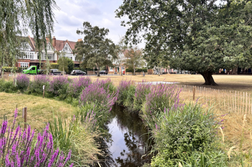 Hear about how resilient Richmond upon Thames is to the changing climate