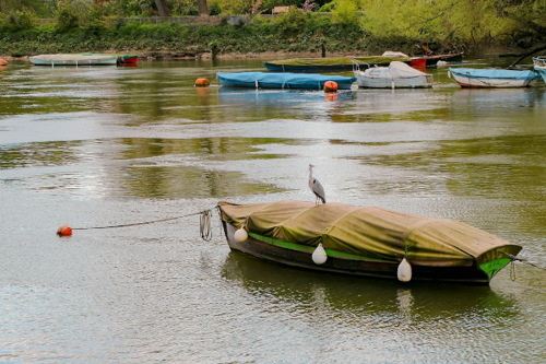 Join a river walk for World Rivers Day