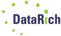 DataRich logo