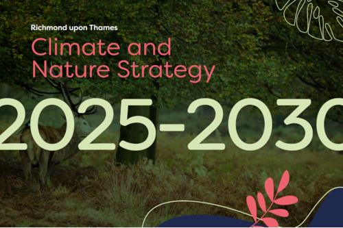 Bold five-year roadmap for Richmond Council to build on climate action