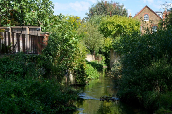 Drop in and have your say on the proposed Beverley Brook restoration