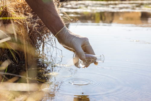 Testing the waters: River surveying and citizen science taster session