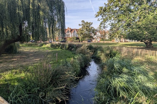 Barnes Green river restoration improves flood resilience and creates new wildlife habitats