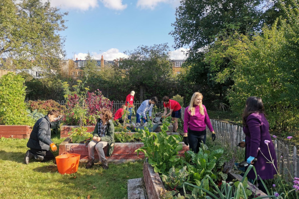 Dive into nature and ecology this summer