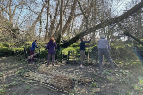 Willow spiling on the Thames