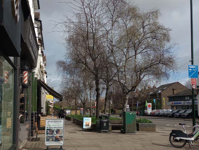 Figure 119: Open space outside Lowther Parade