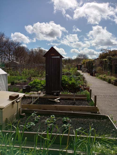 Figure 25: Short Lots allotments