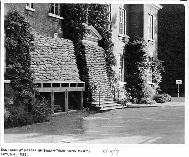 Figure 14: Sandbags piled up outside the door of Herbarium in 1939