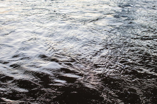 Reflect on water and help shape an upcoming art exhibition