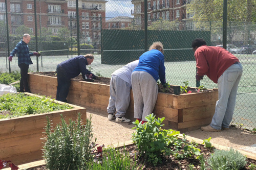 Explore Richmond's accessible spaces this Disability History Month